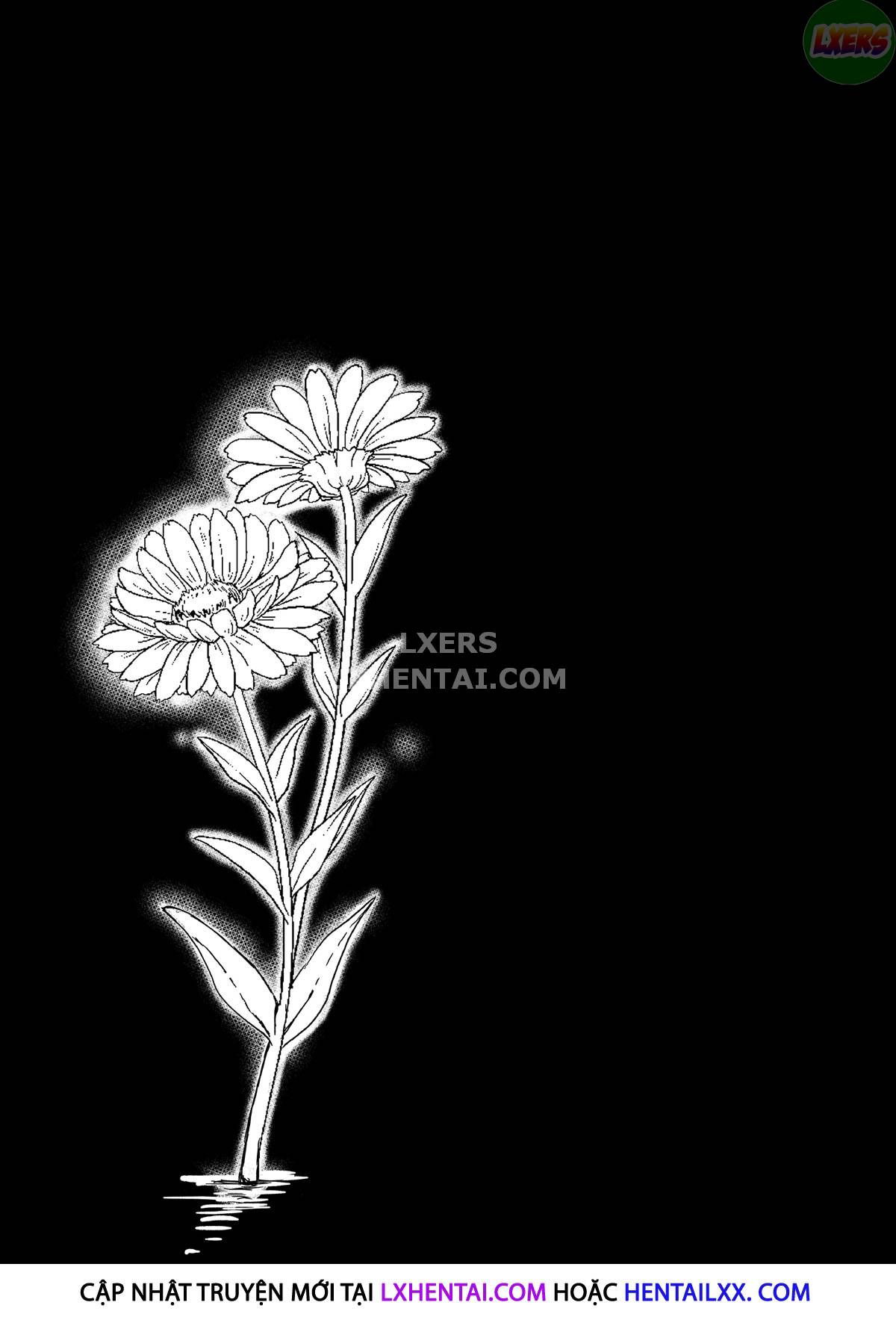 hai-hoa-chap-1-7 integer