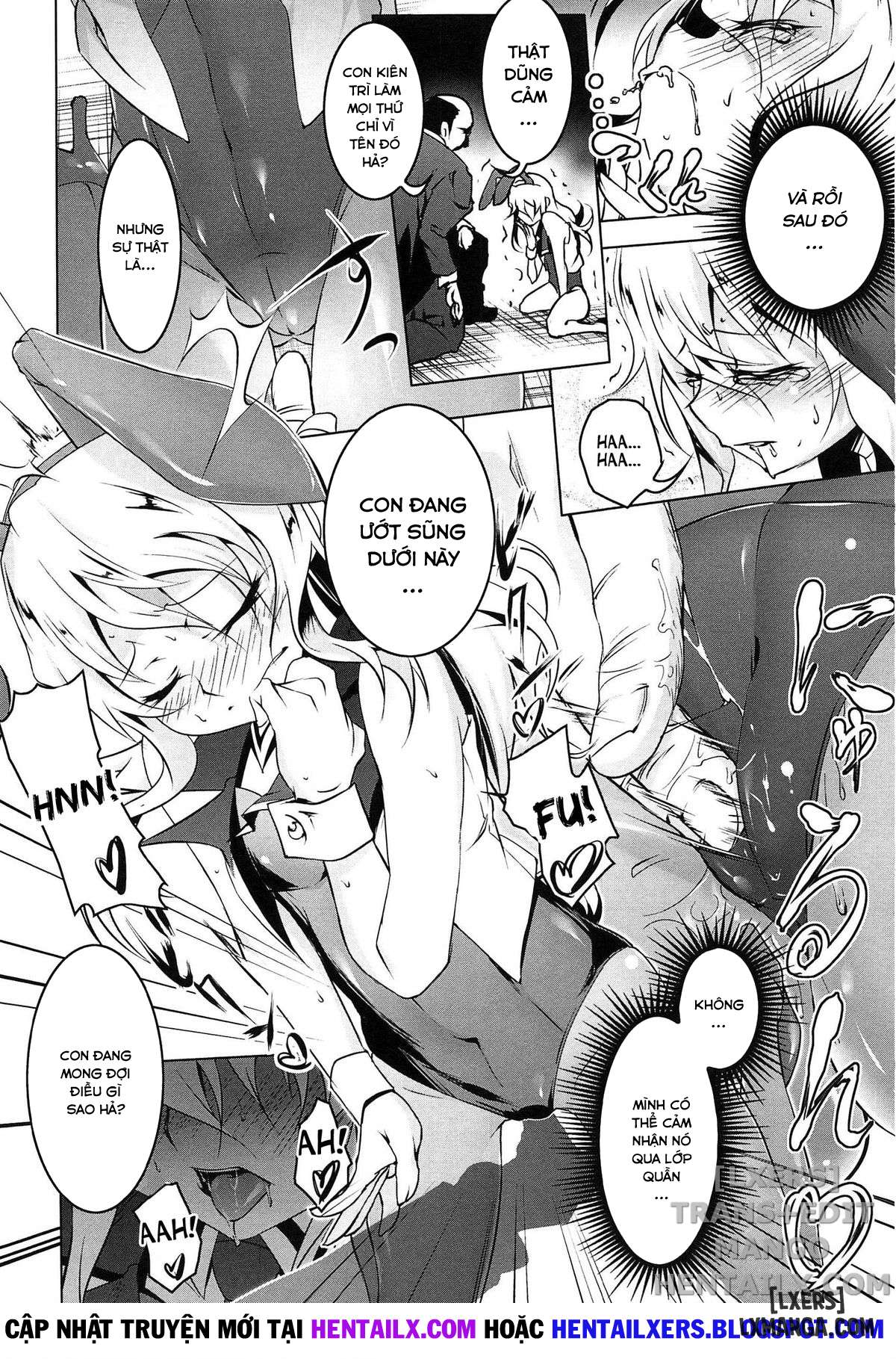 domestic-chap-2-5 integer