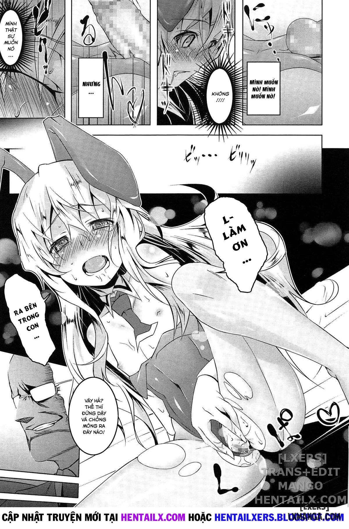 domestic-chap-2-12 integer