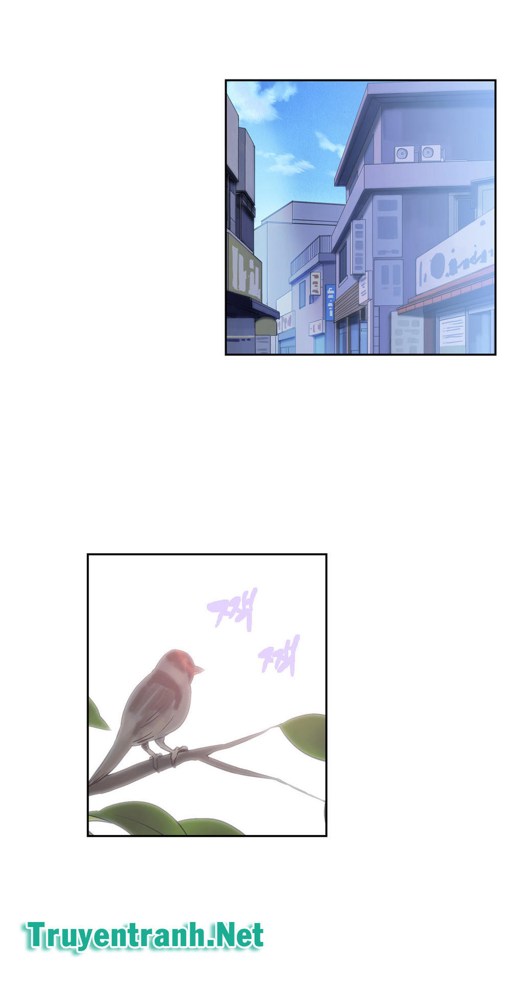 nhom-hoc-lam-tinh-chap-50-34 integer