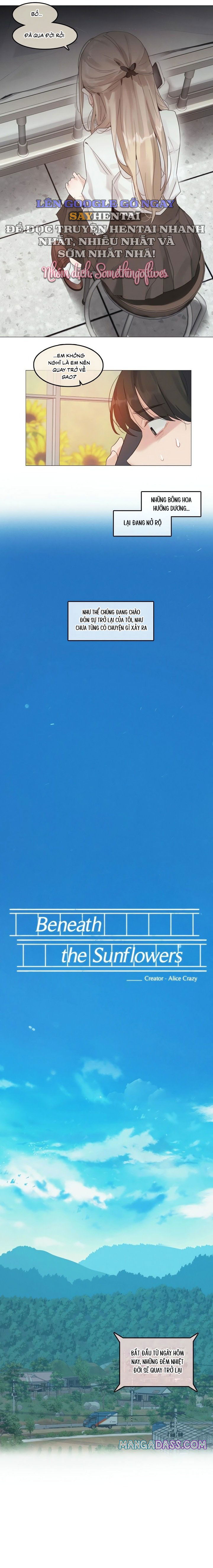 mua-huong-duong-tham-thi-chap-1-3 integer