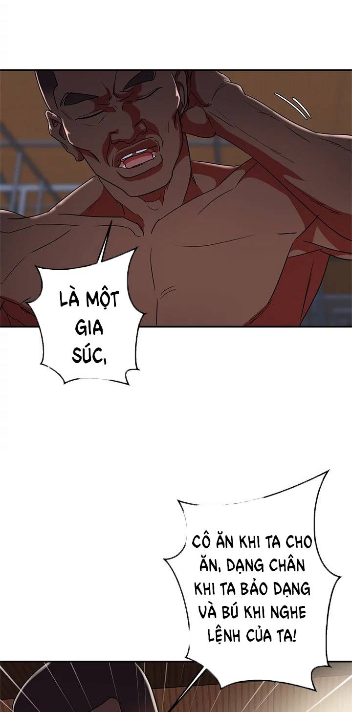 lon-nguoi-chap-4-43 integer