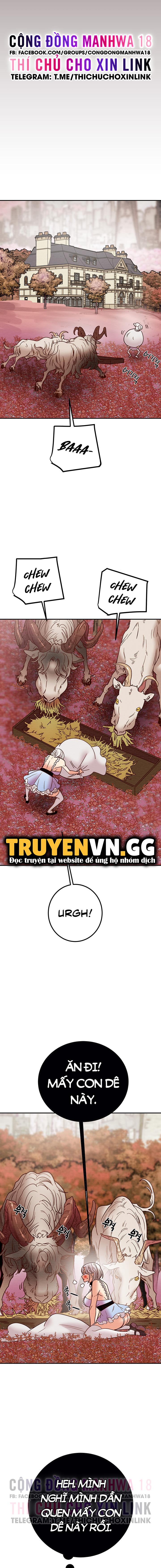 cay-bua-than-chap-39-21 integer