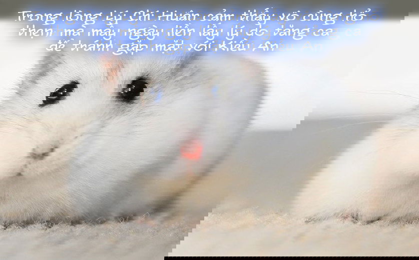 tieu-su-cua-tran-kieu-an-chap-6-36 integer