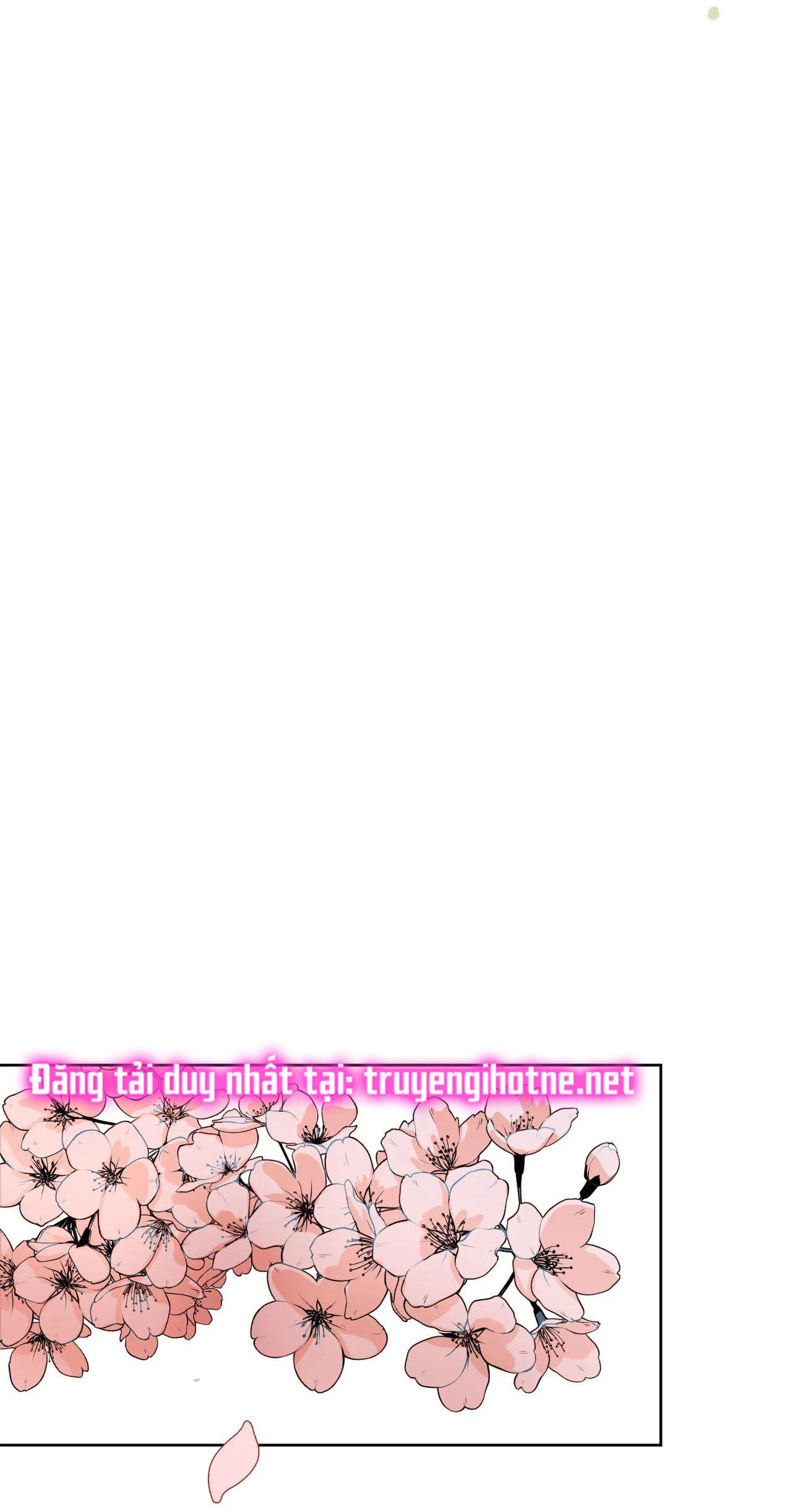 chi-ke-chap-5-61 integer