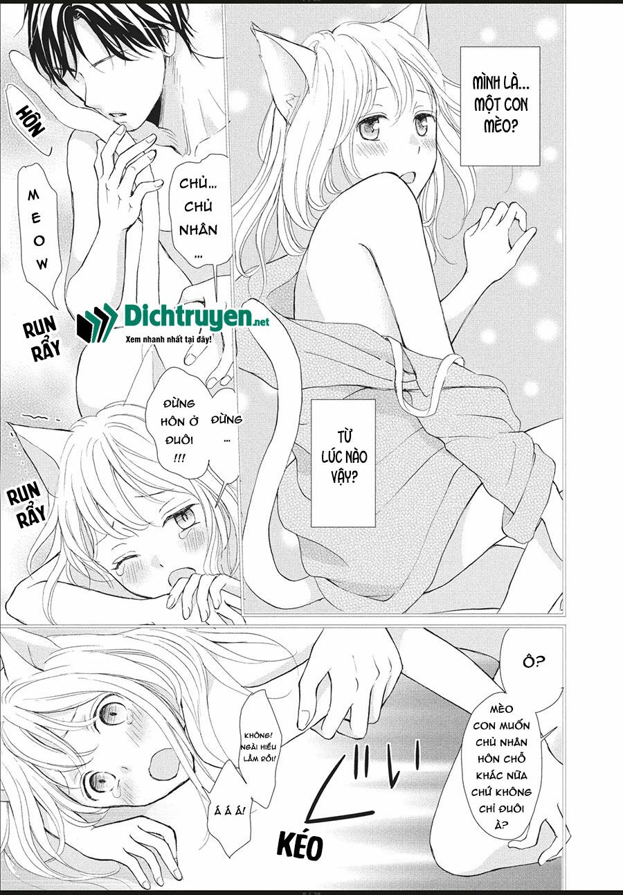 co-meo-con-cua-sep-nha-toi-chap-2-6 integer