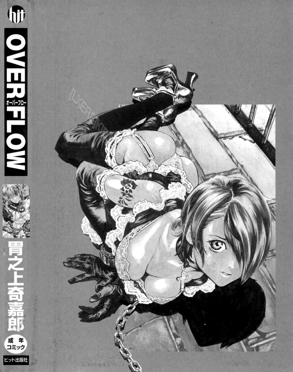 over-flow-chap-8-20 integer