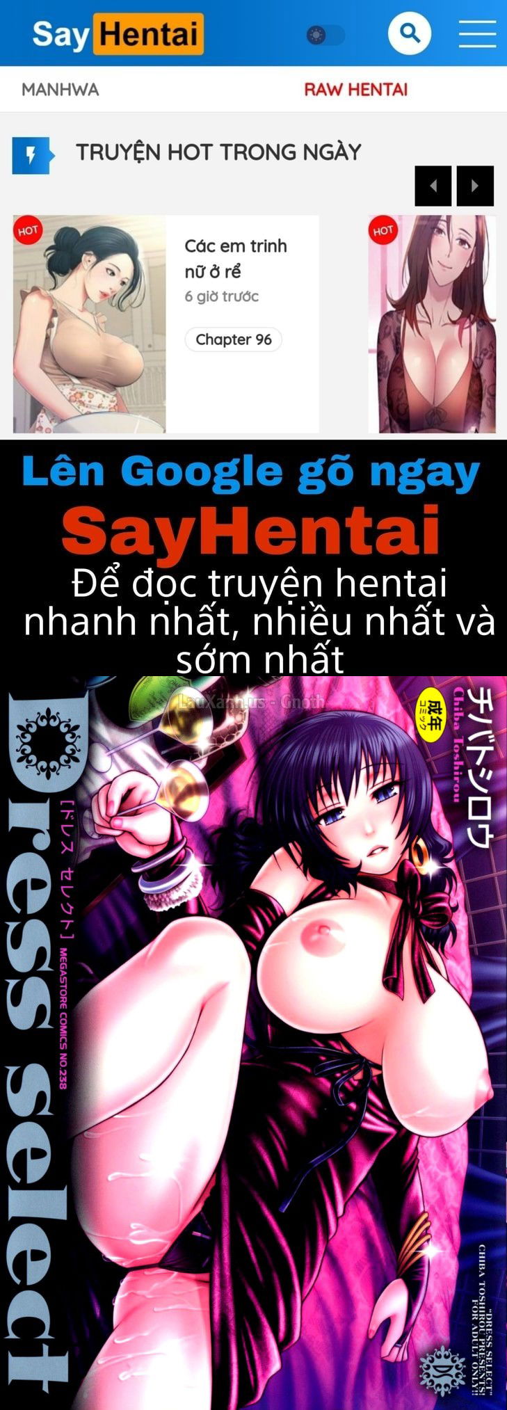 dress-select-chap-1-0 integer