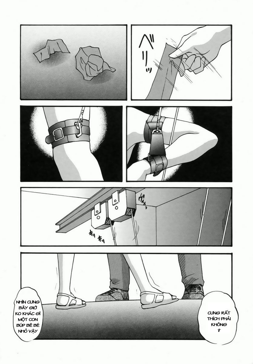 cellular-control-chap-2-1 integer