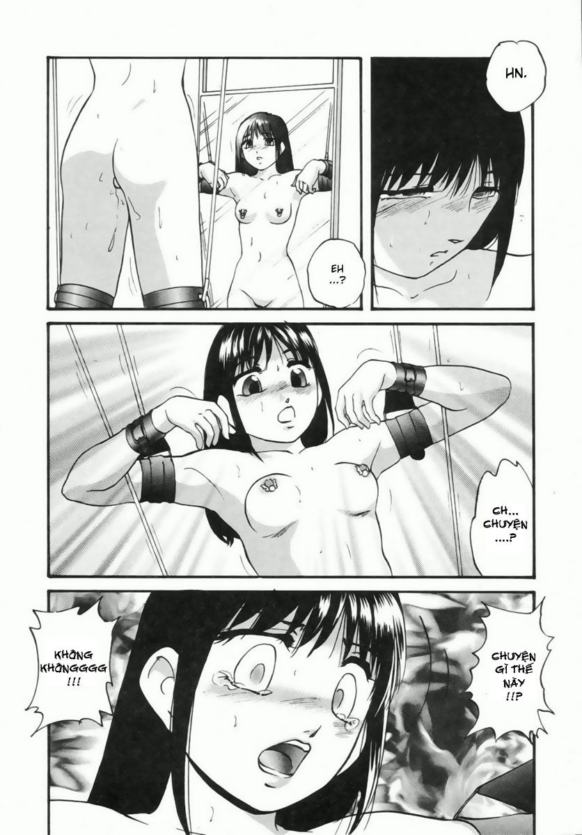 cellular-control-chap-2-3 integer