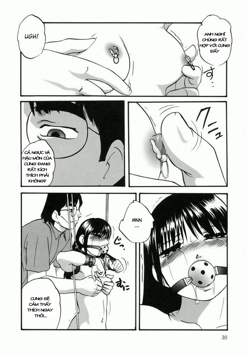 cellular-control-chap-2-5 integer