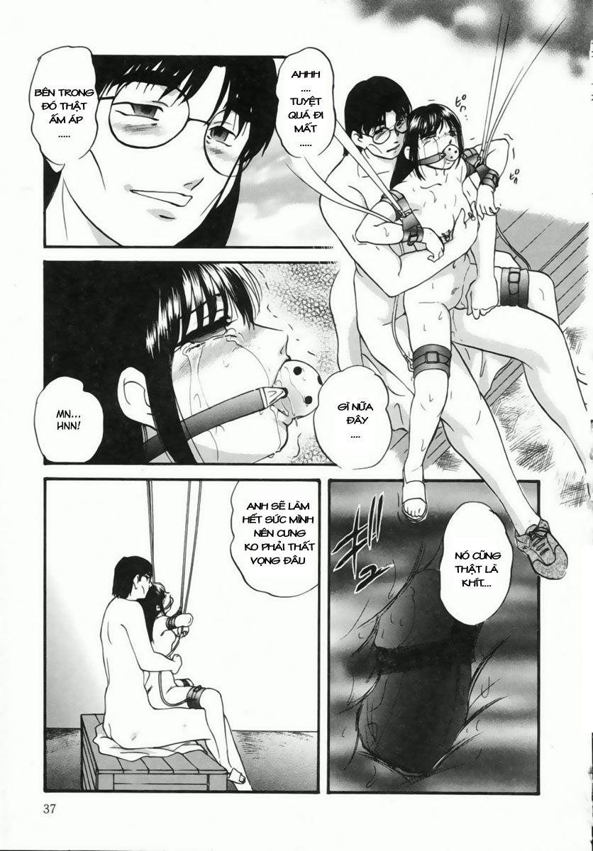 cellular-control-chap-2-12 integer