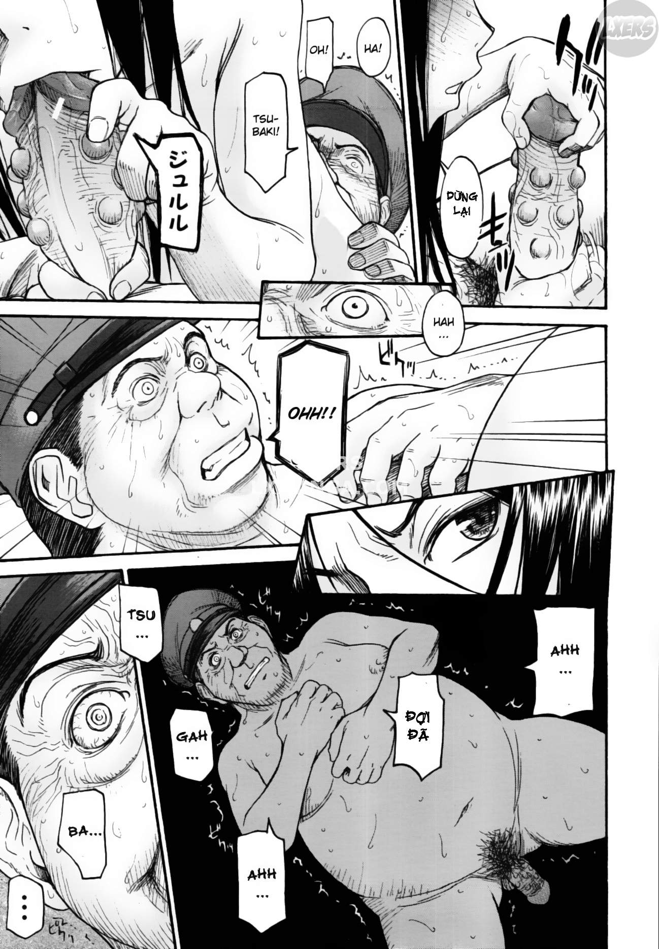 camellia-chap-4-35 integer