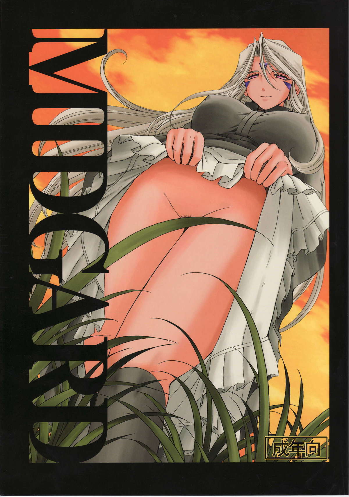 midgard-chap-11-3 integer