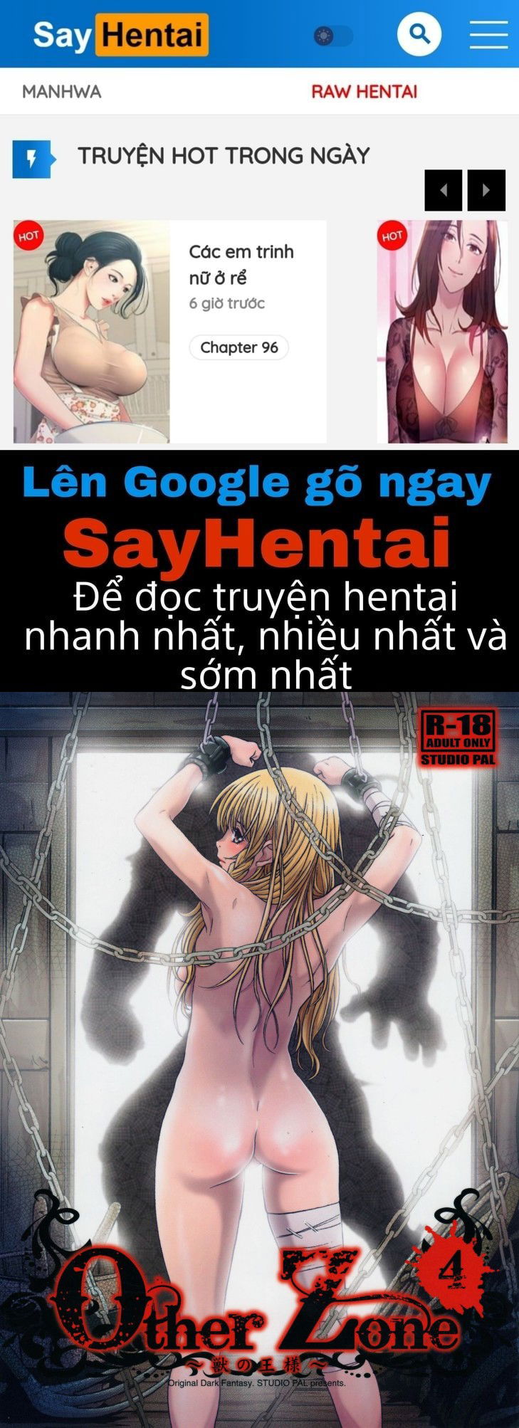 other-zone-chap-4-0 integer