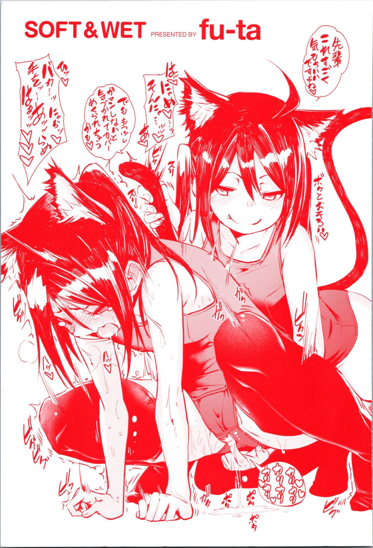 soft-and-wet-chap-1-3 integer