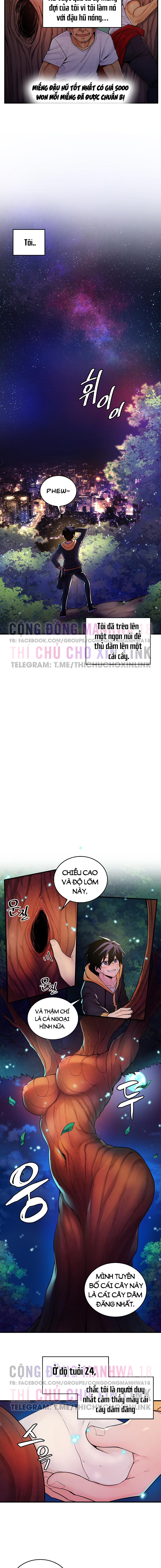 phich-cay-the-gioi-chap-1-1 integer