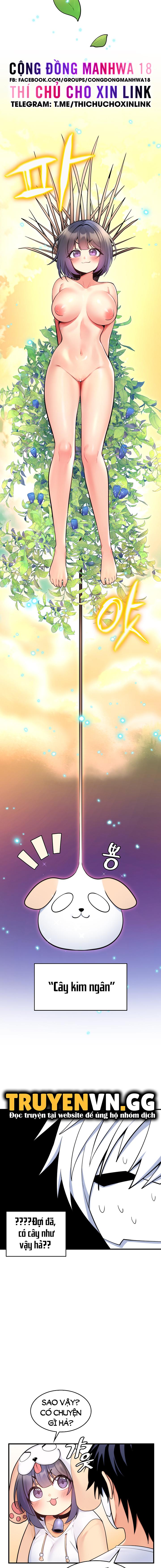 phich-cay-the-gioi-chap-11-8 integer