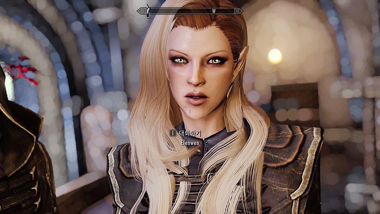 elenwen-emissary-of-thalmor-chap-1-3 integer