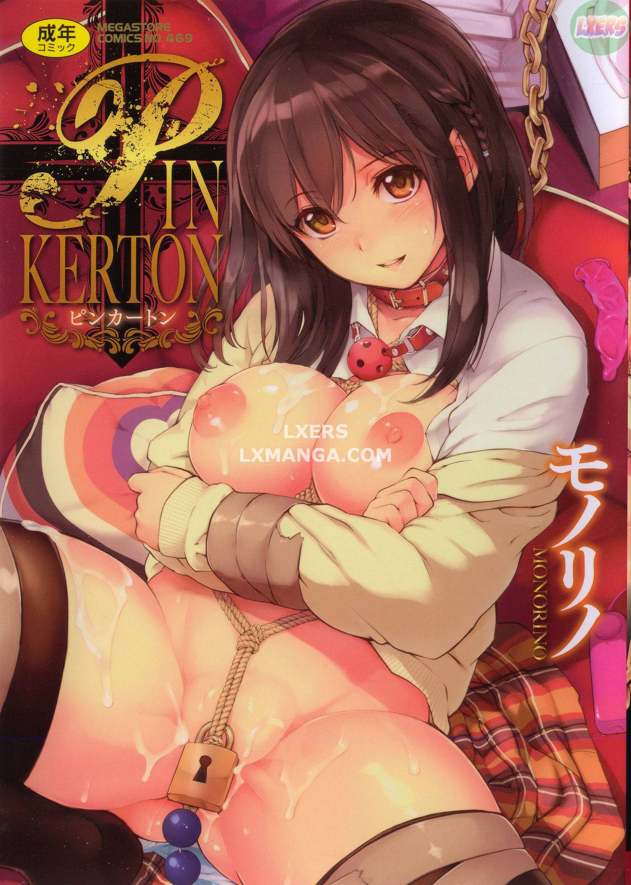 pinkerton-chap-1-3 integer