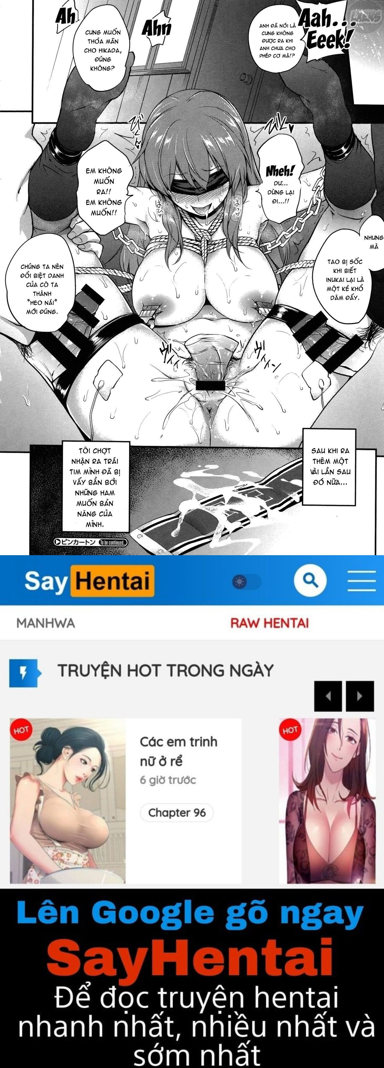 pinkerton-chap-3-26 integer