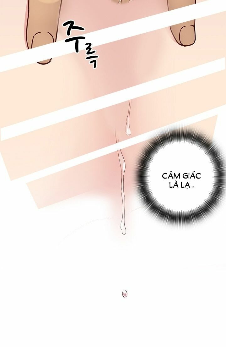 dai-hoc-h-h-campus-chap-19-43 integer