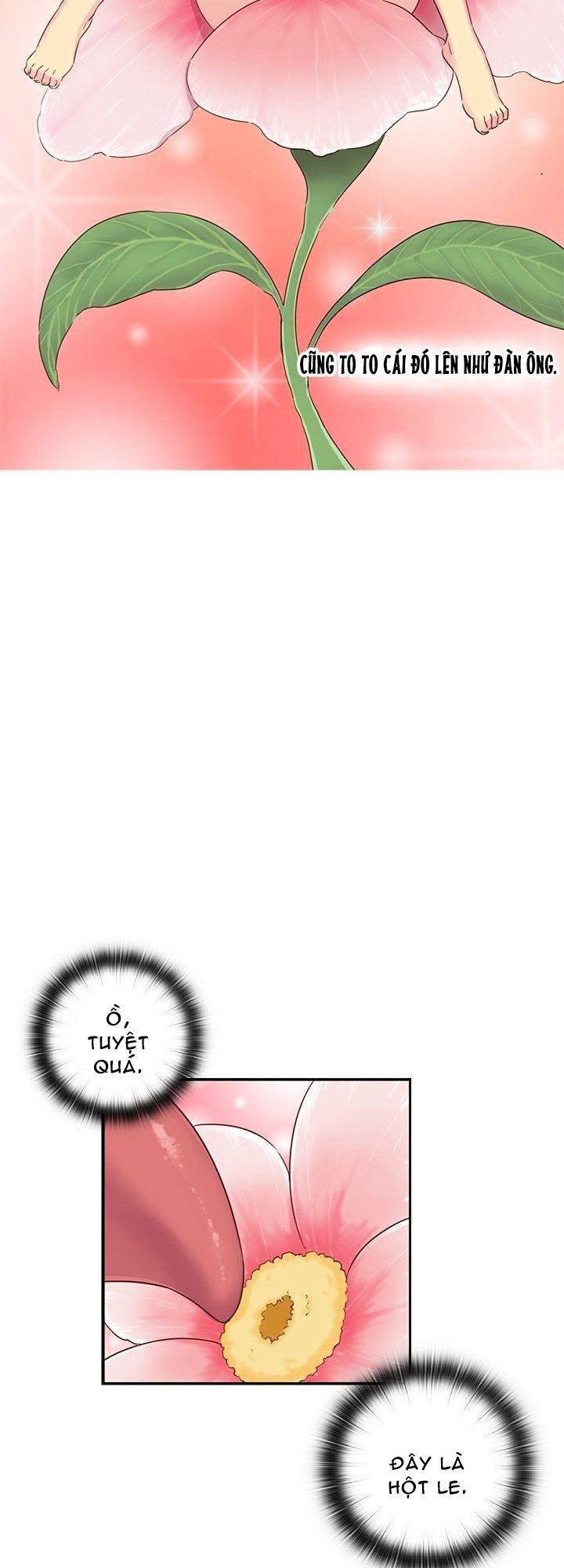 dai-hoc-h-h-campus-chap-30-17 integer