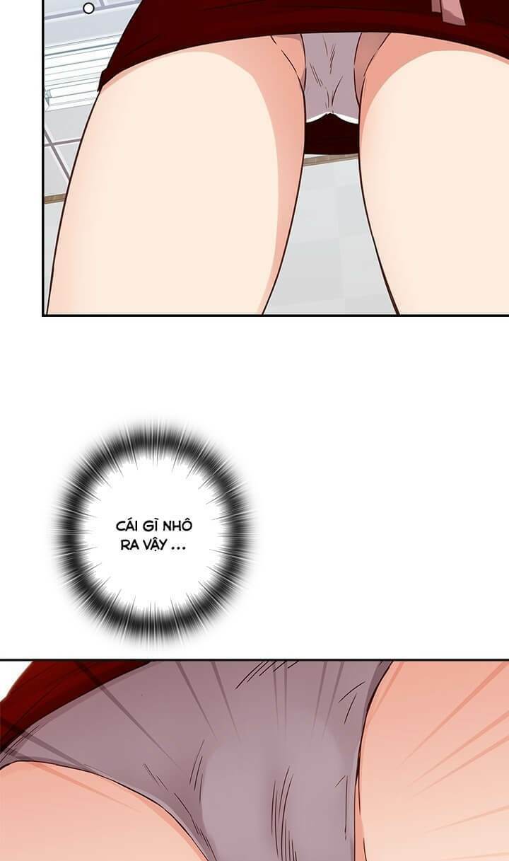 dai-hoc-h-h-campus-chap-8-8 integer