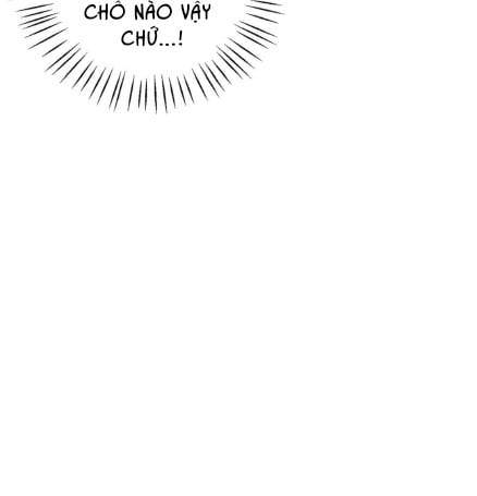 chi-dau-co-don-chap-20-23 integer