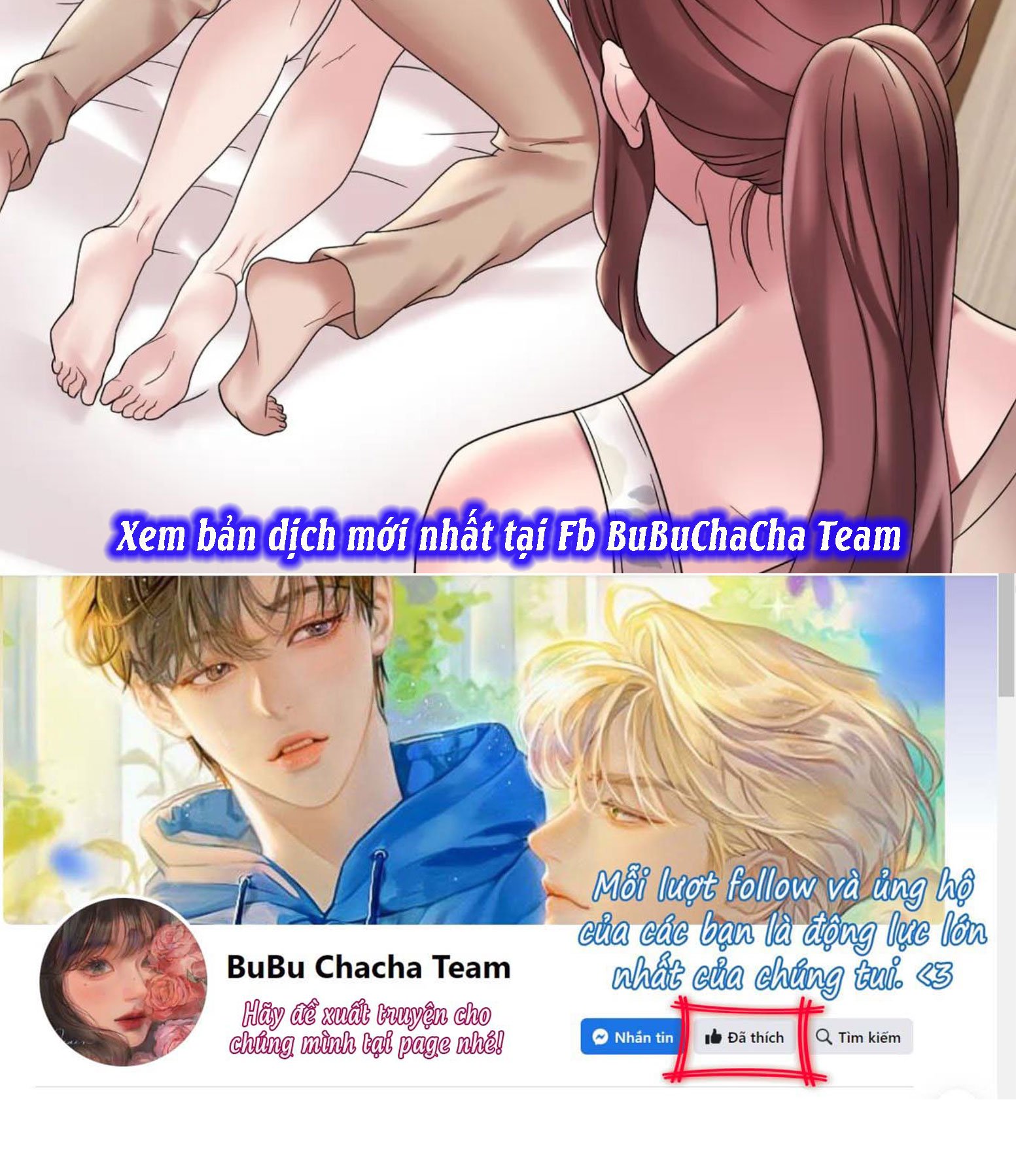 chi-dau-co-don-chap-21-29 integer