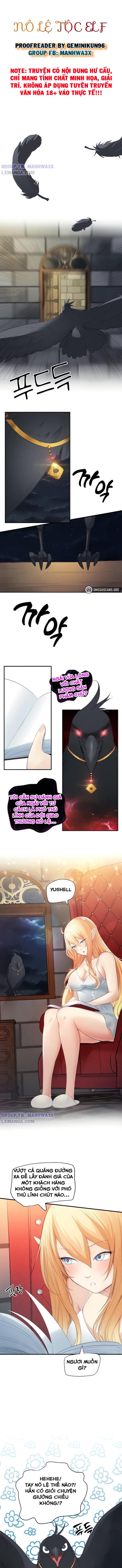 no-le-toc-elf-chap-8-1 integer