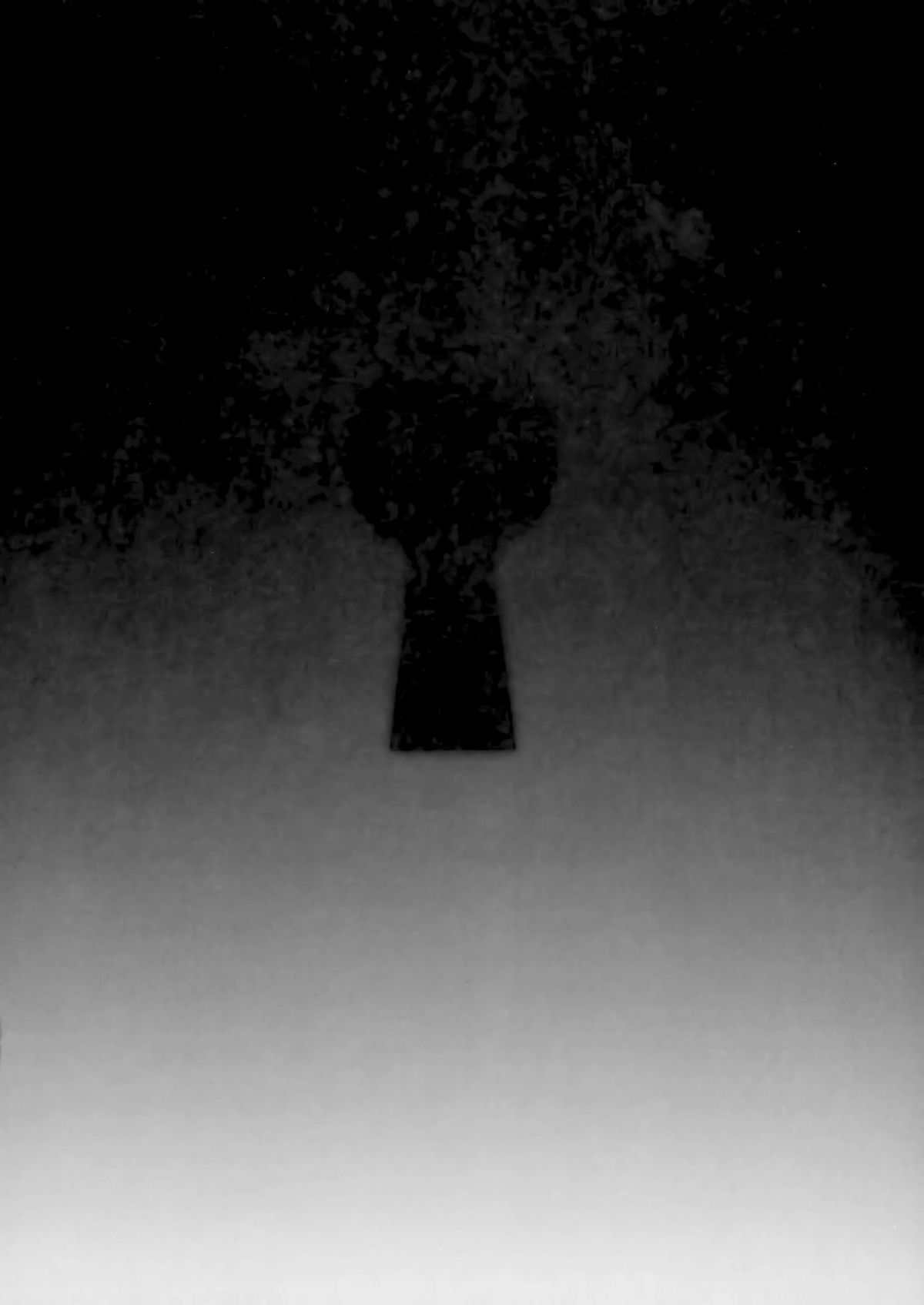 kagiana-chap-0-4 integer