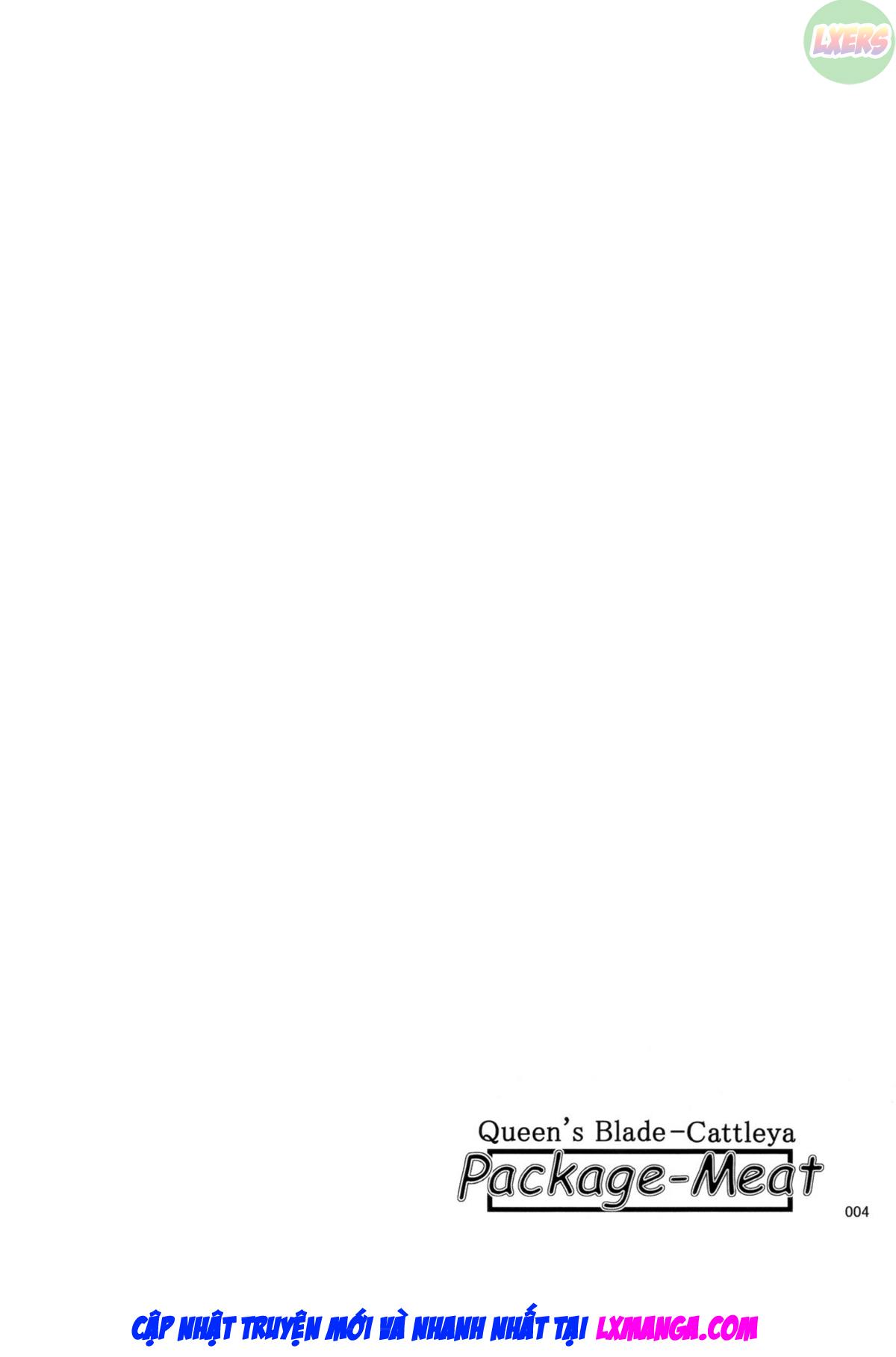 package-meat-chap-10-5 integer