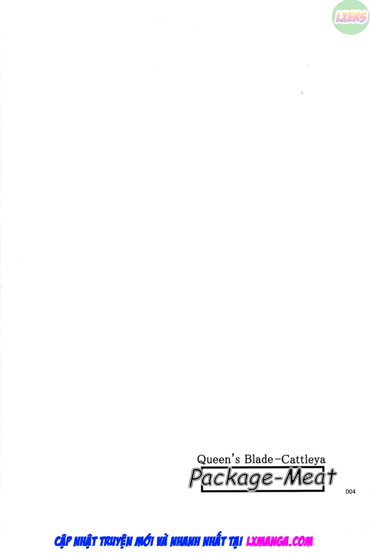 package-meat-chap-11-6 integer