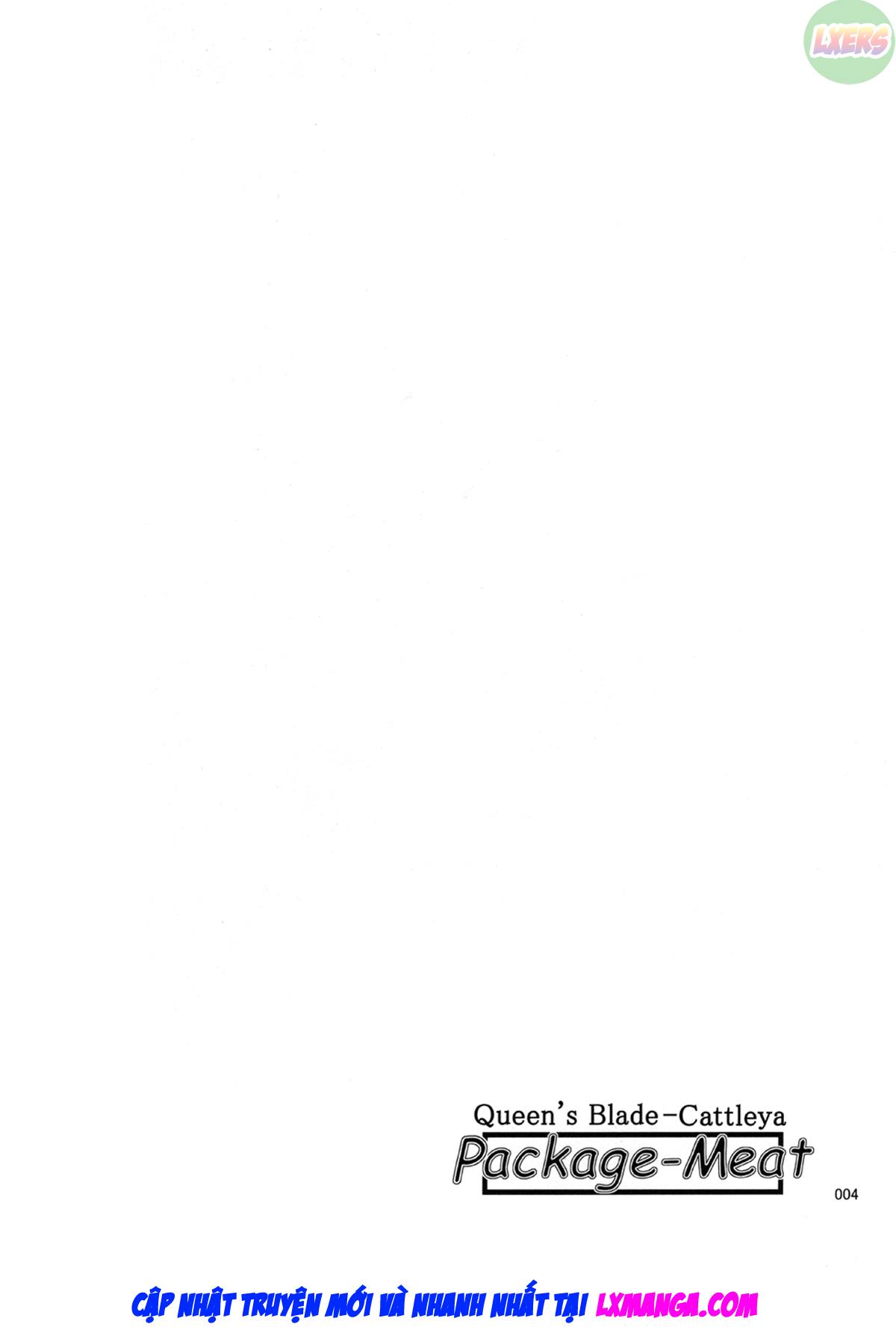 package-meat-chap-6-6 integer