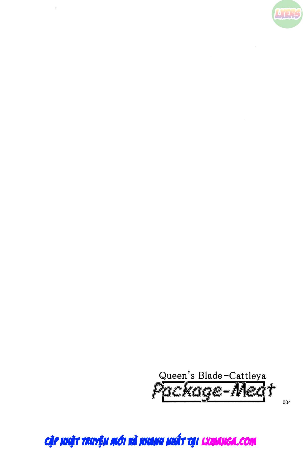 package-meat-chap-9-6 integer