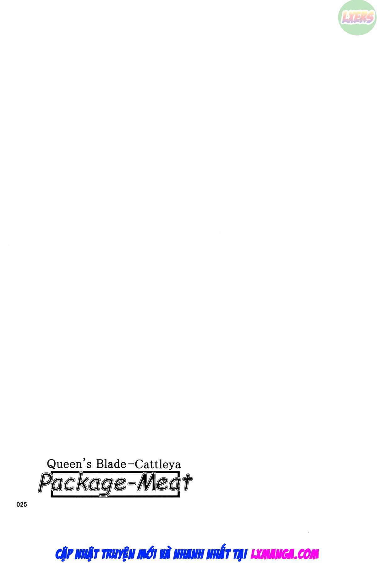 package-meat-chap-9-27 integer