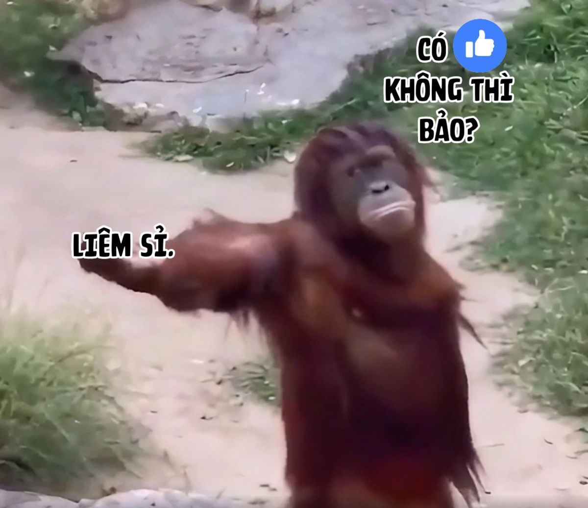 suimin-esthe-case01-minami-nitta-chap-0-38 integer