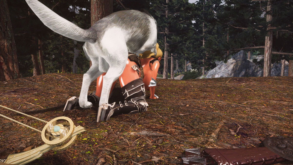 stan13-chap-3-19 integer