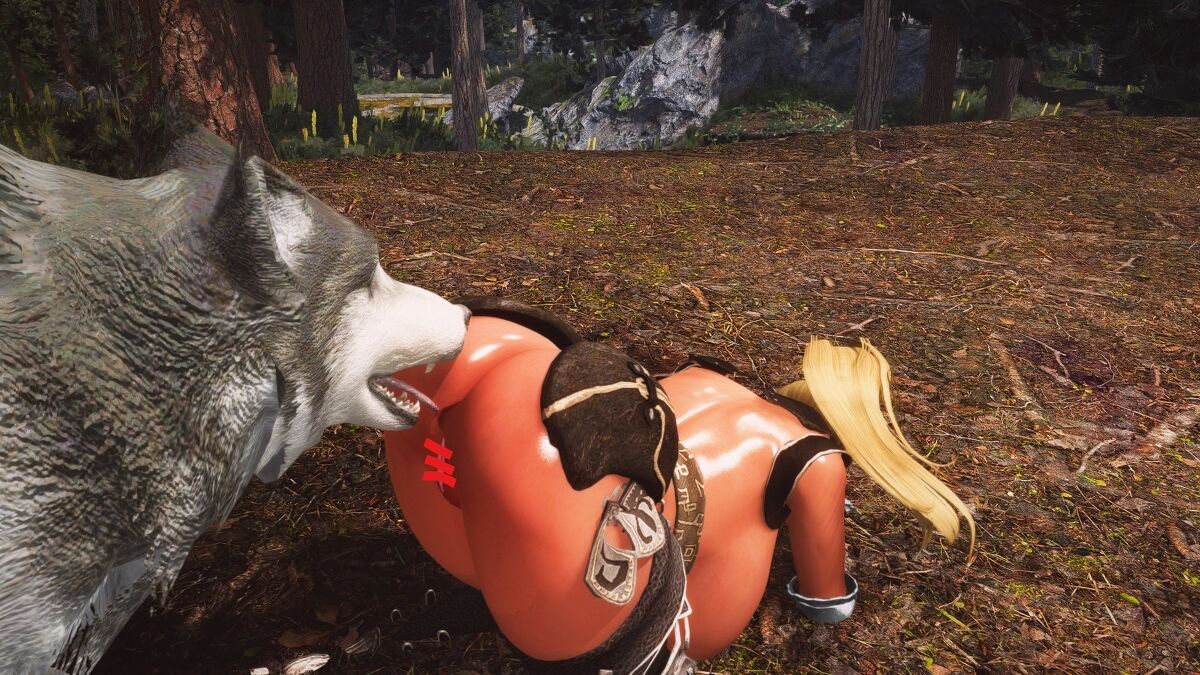 stan13-chap-3-27 integer