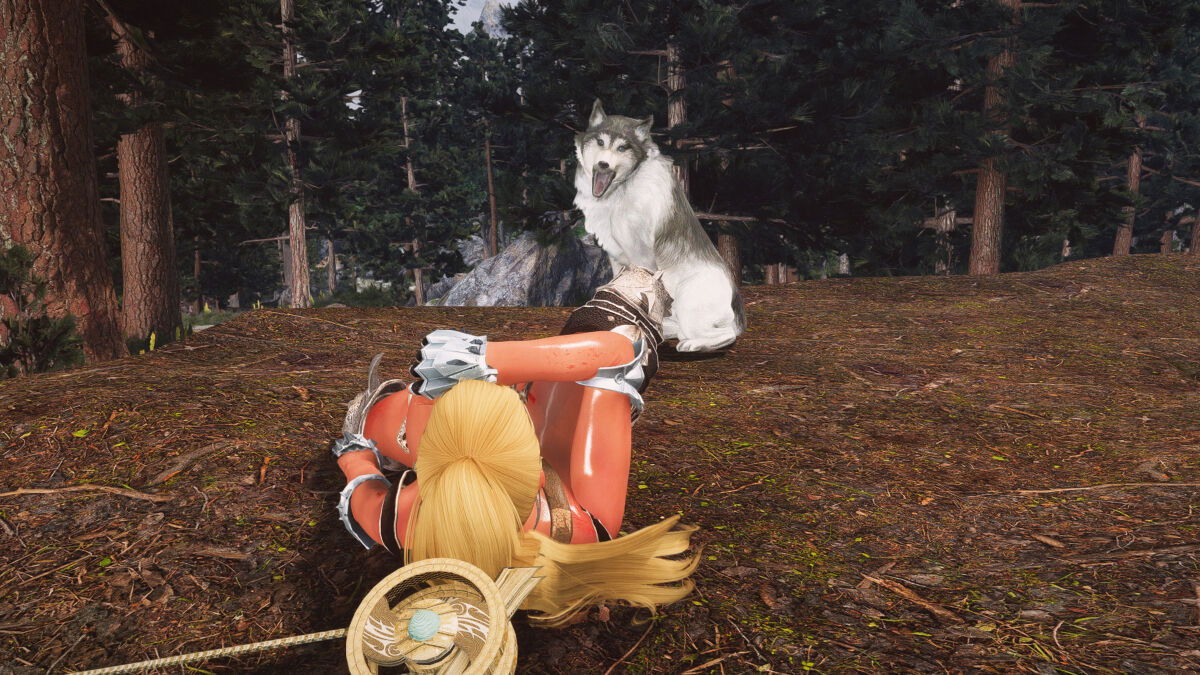 stan13-chap-3-41 integer