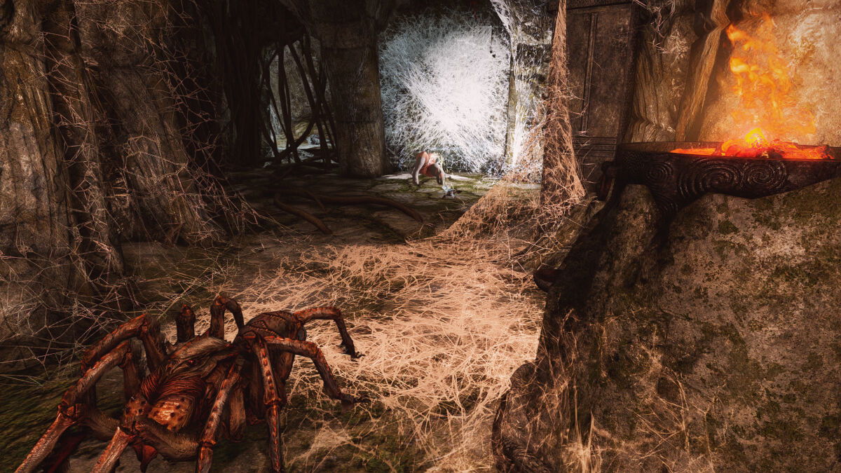 stan13-chap-5-67 integer