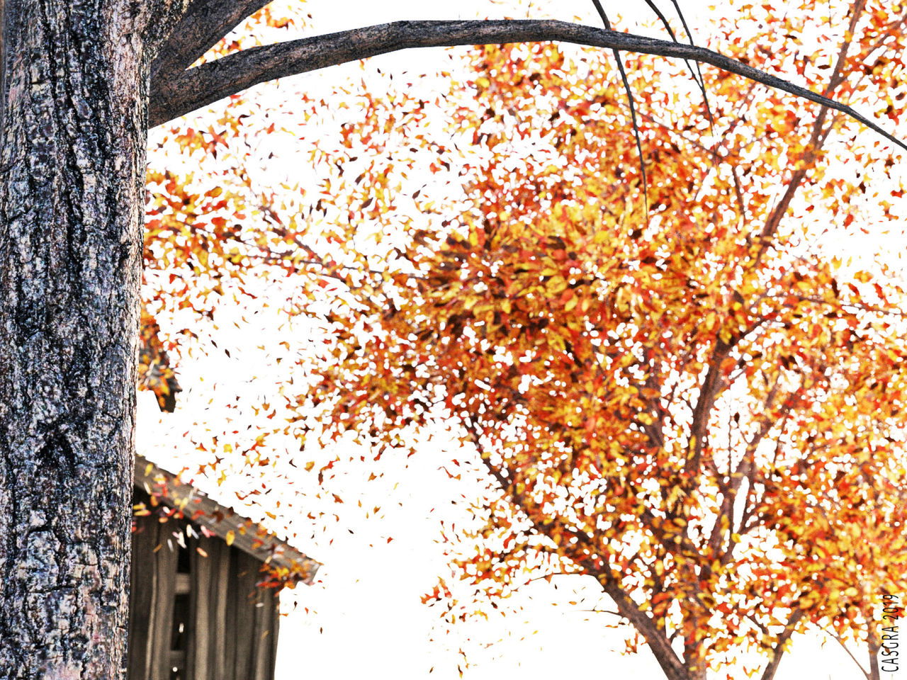 casgra-chap-8-39 integer