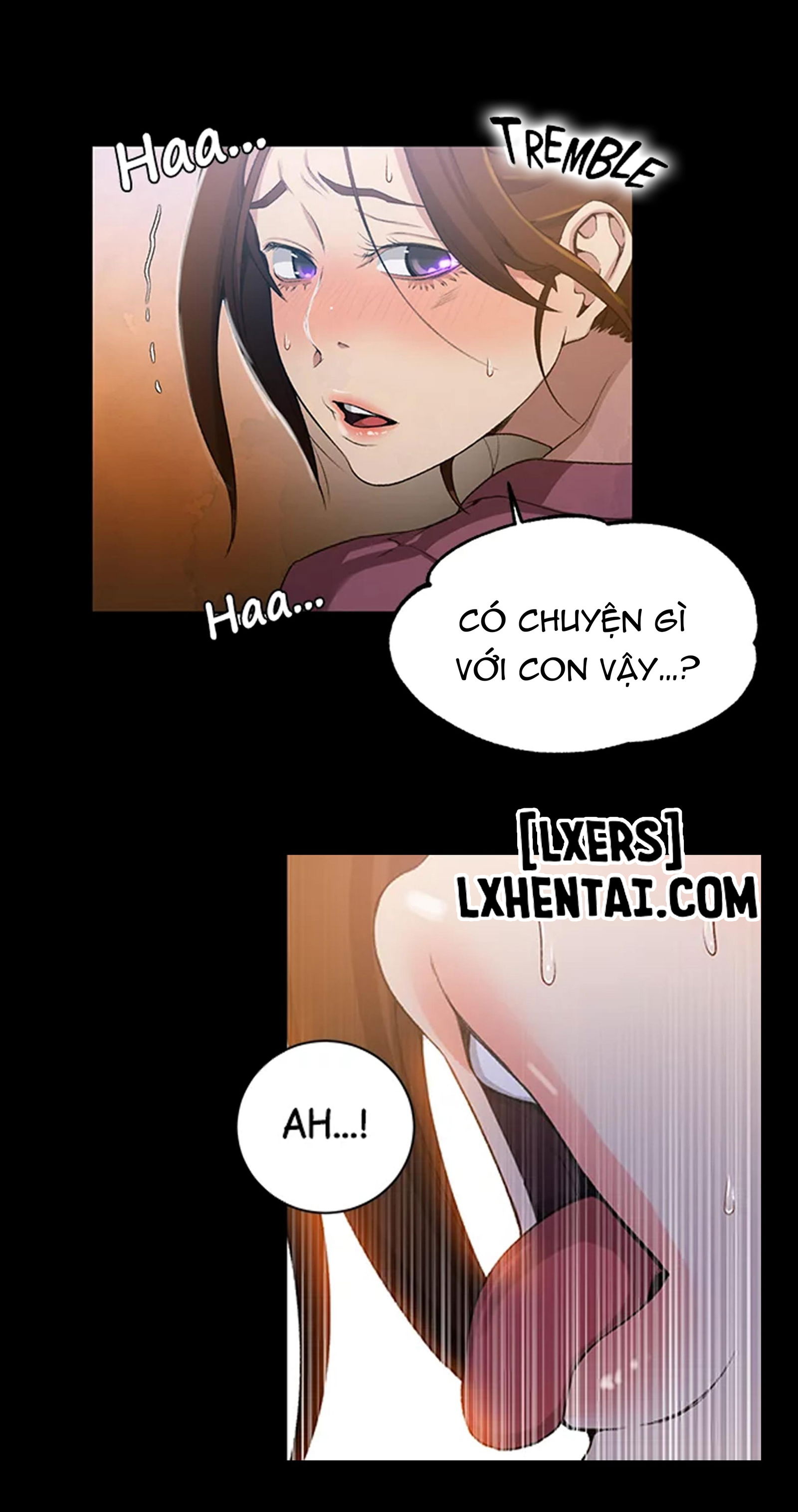 lop-hoc-bi-mat-khong-che-chap-43-30 integer