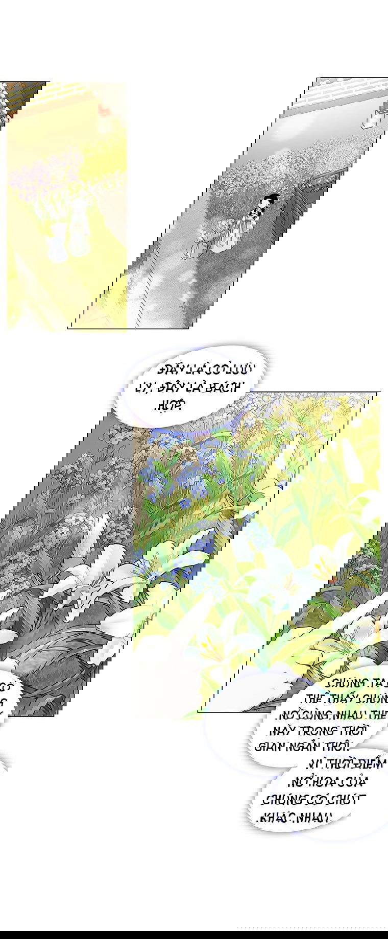 18-ve-van-me-hoac-ho-ly-chap-11.2-4 integer