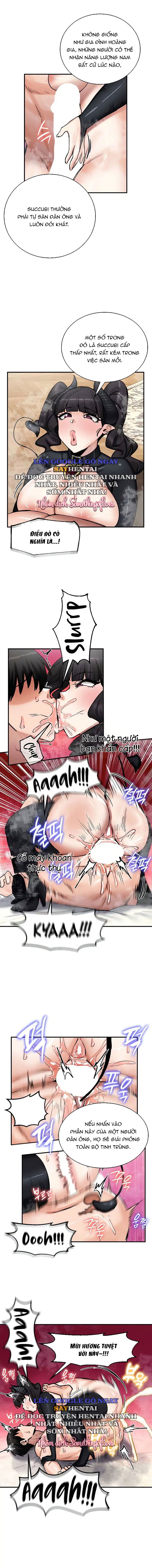 thong-tri-chap-66-5 integer