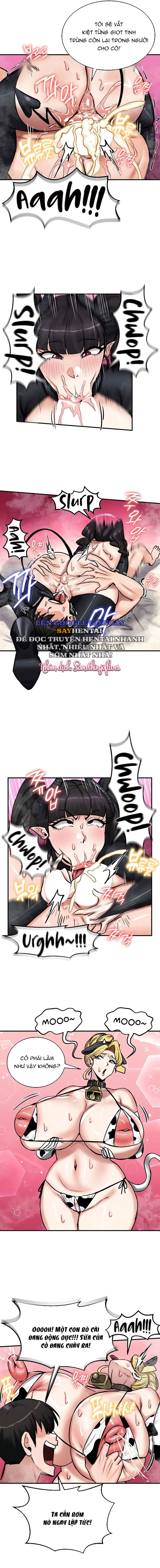 thong-tri-chap-66-6 integer