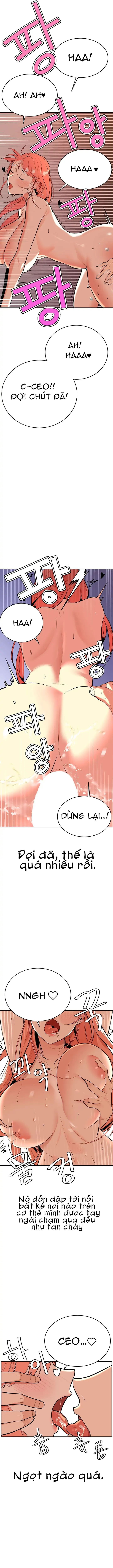 nhung-nhan-tinh-bi-mat-cua-chang-phu-tam-dai-chap-2-4 integer