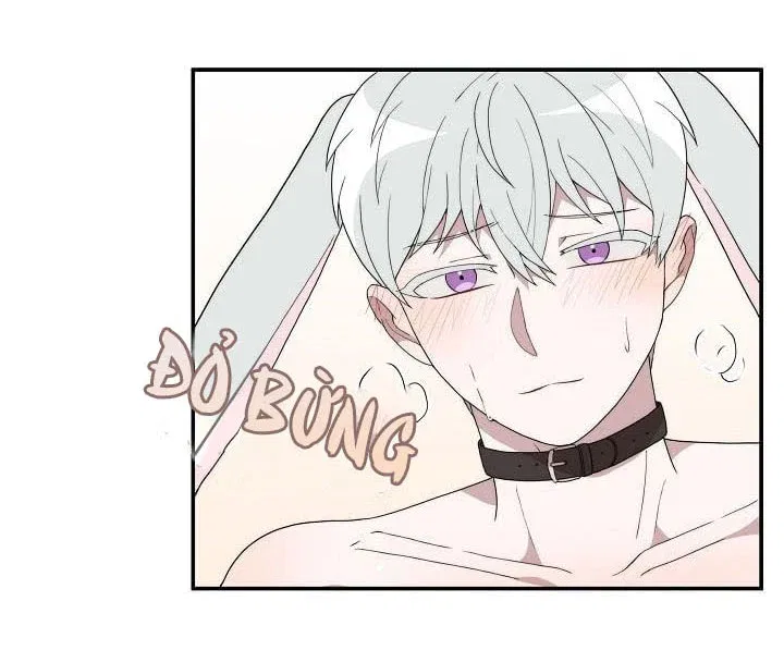 giac-mo-ngot-ngao-chap-4-50 integer