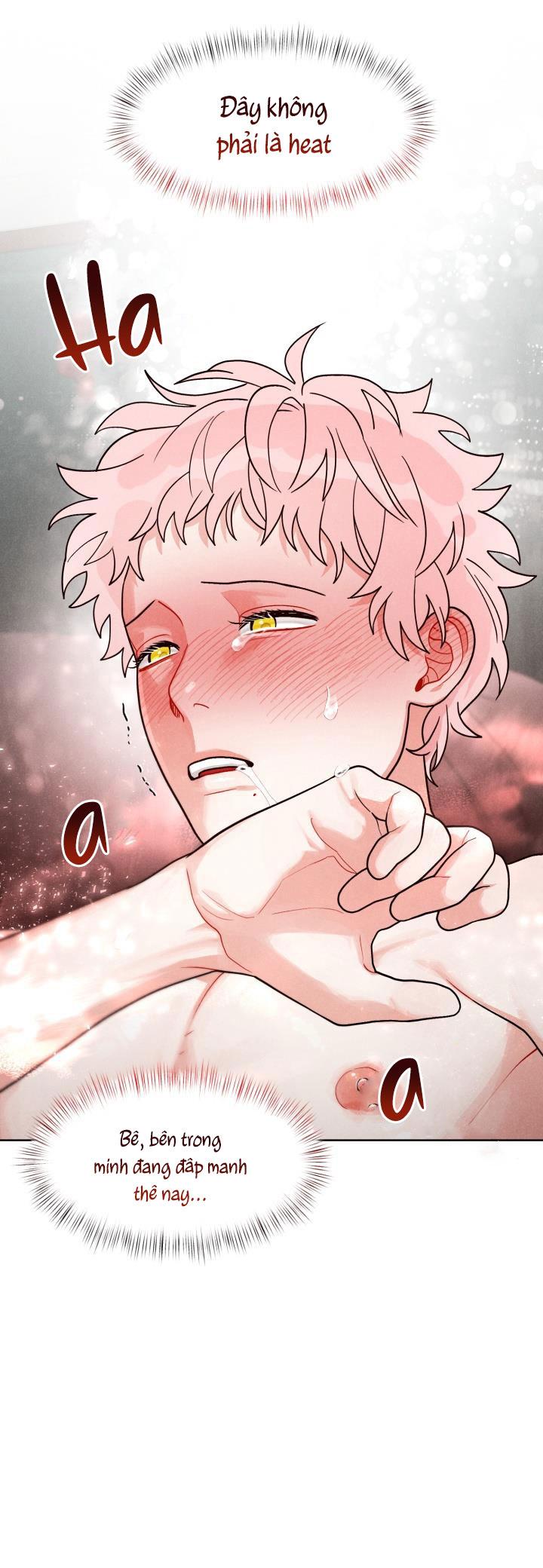 cuoc-goi-bi-mat-chap-8-8 integer